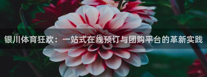 哈哈体育十年