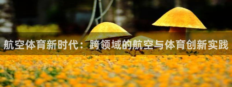 哈哈体育