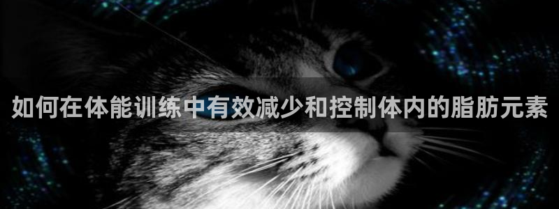 哈哈体育