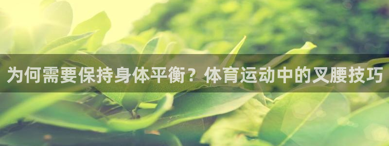哈哈体育下载