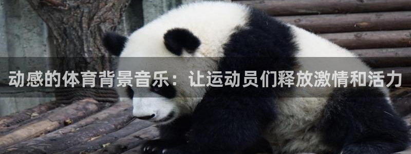 哈哈体育下载