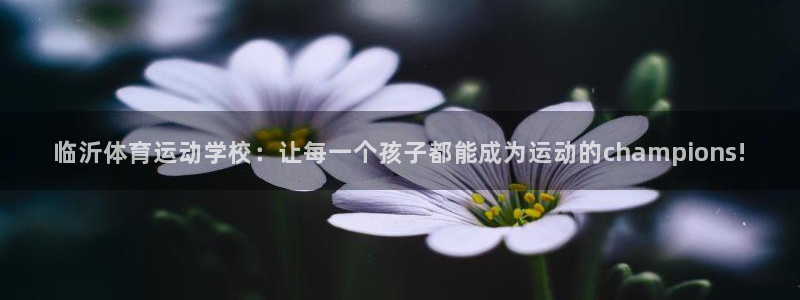 哈哈体育