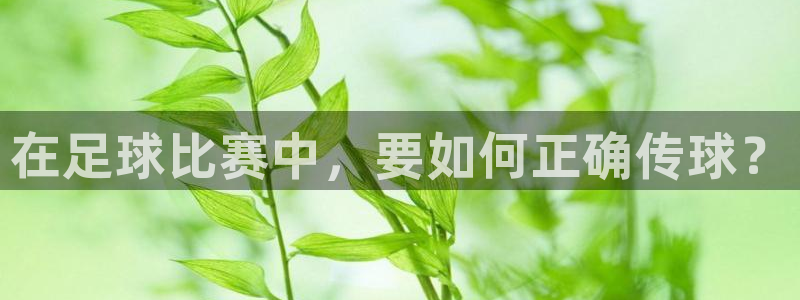 哈哈体育十年