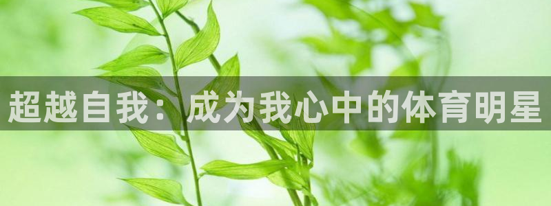 哈哈体育十年
