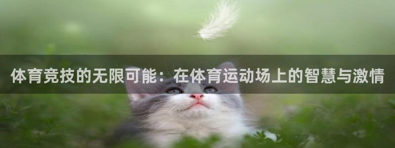 哈哈体育十年