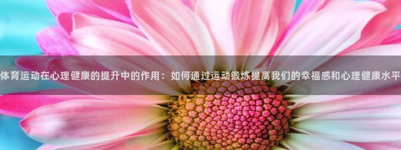 哈哈体育