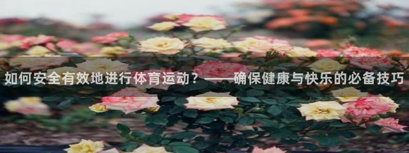 哈哈体育